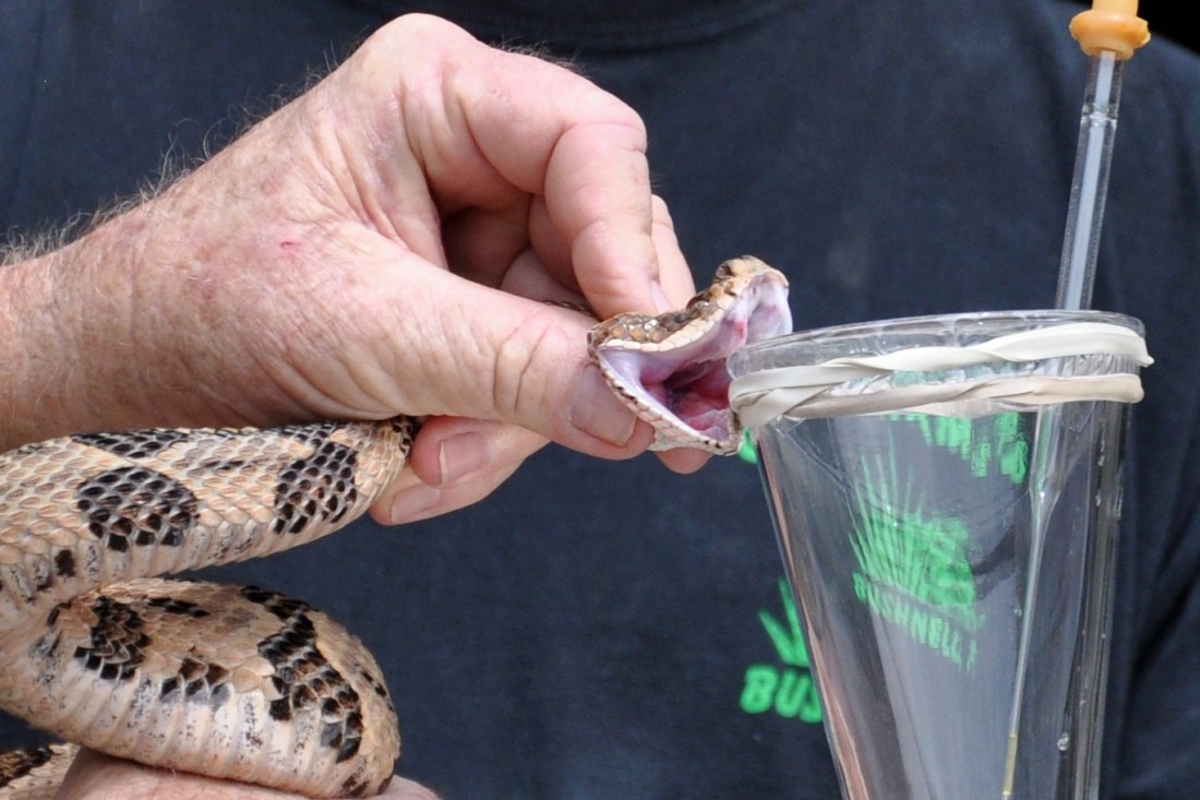 Come to know the six most dangerous jobs around the world